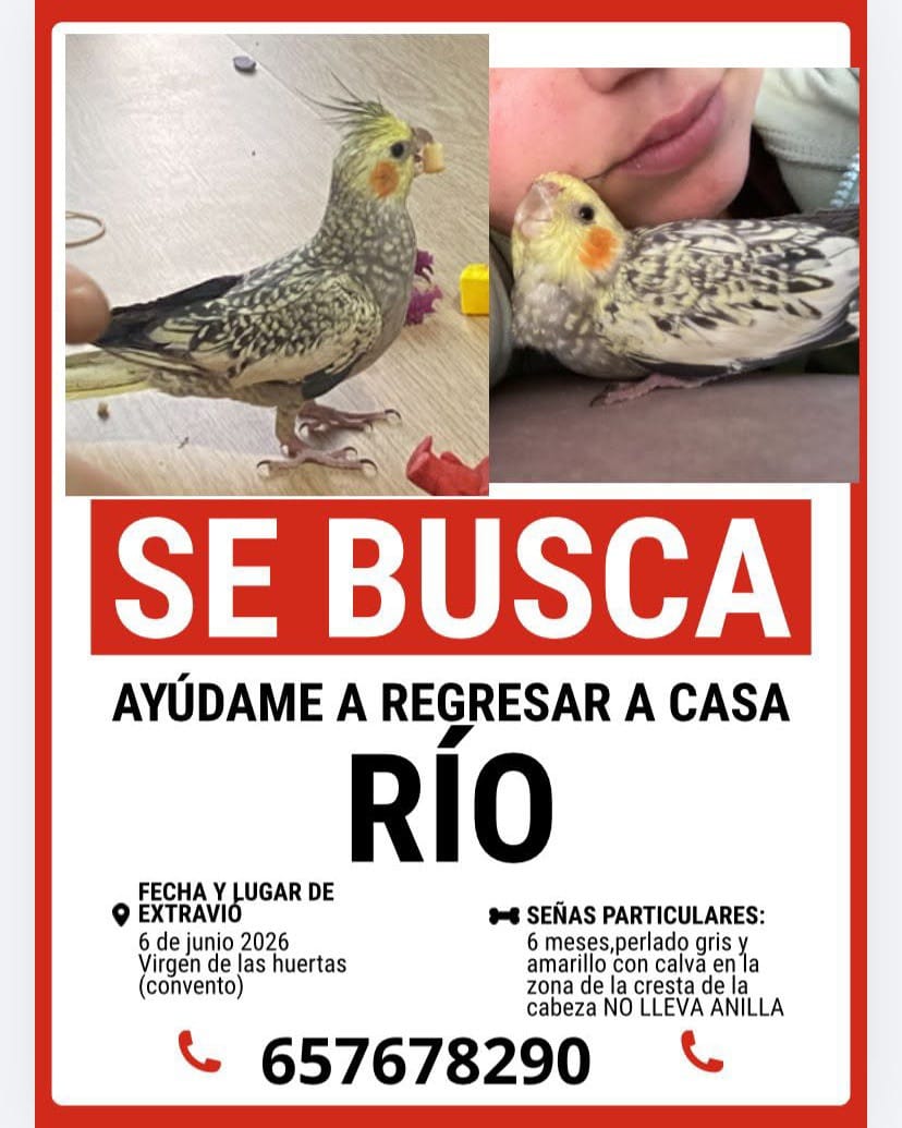 Post 8 by OLIMPO Protectora Animal on Instagram (image)