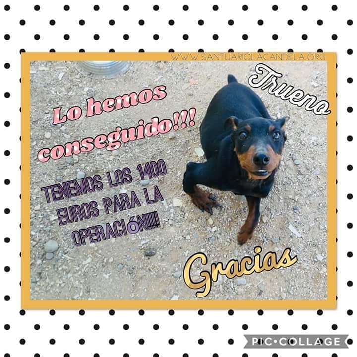 Post 2 by La Candela Sanctuary🔥 on Instagram (image)