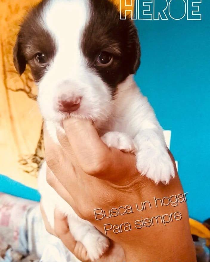 Post 10 by La Candela Sanctuary🔥 on Instagram (image)