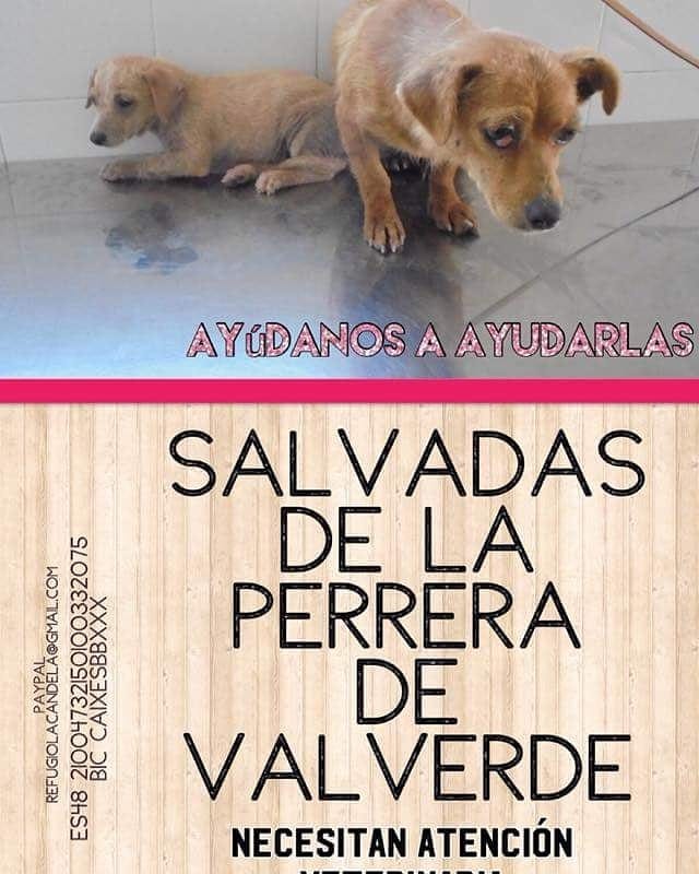Post 5 by La Candela Sanctuary🔥 on Instagram (image)
