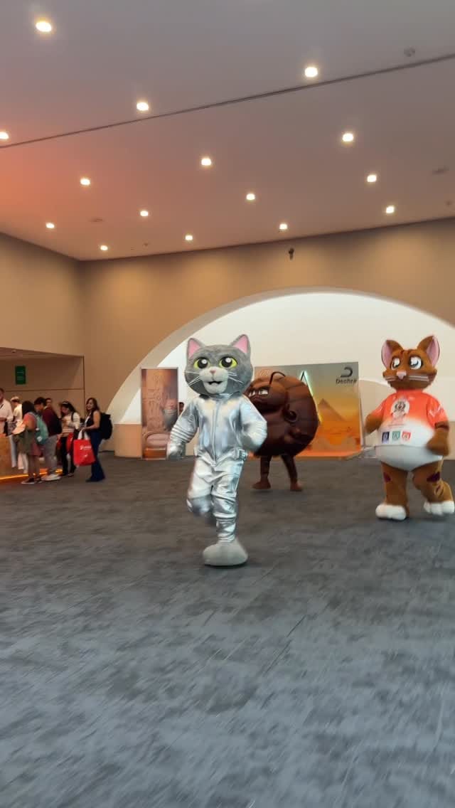 Post 3 by La nación del gato on Instagram (video)