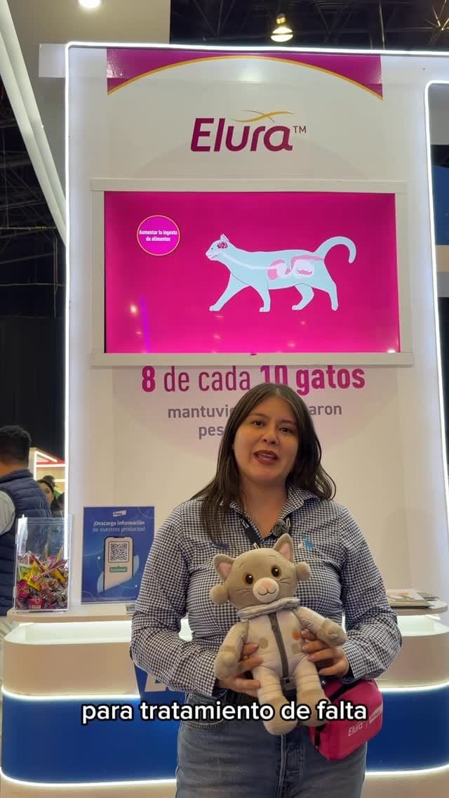 Post 10 by La nación del gato on Instagram (video)