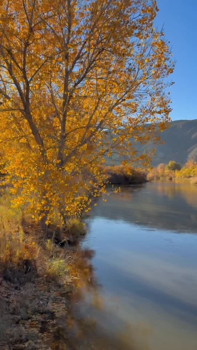 Post 10 by Anni Hanna on Instagram (video)
