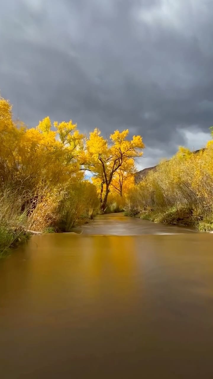 Post 8 by Anni Hanna on Instagram (video)