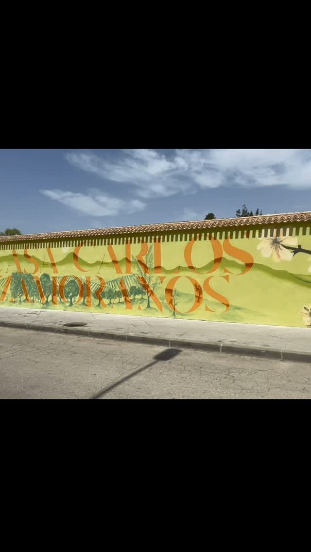 Post 2 by Azucena Almendros on Instagram (video)