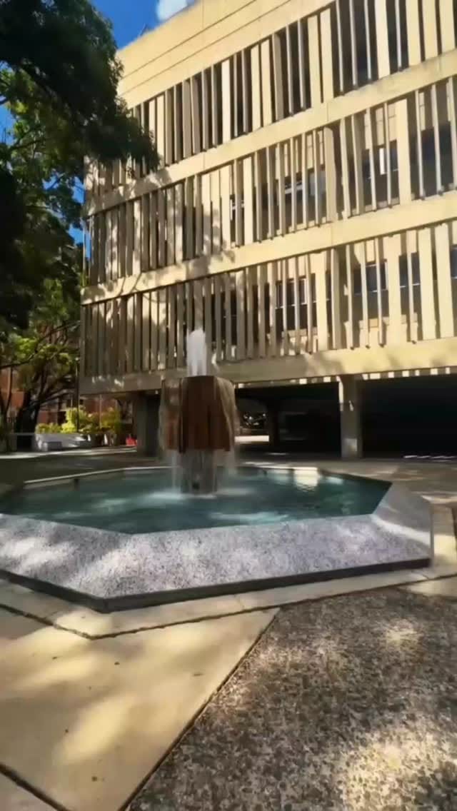 Post 1 by Inces Mérida | Cursos y Capacitación on Instagram (video)