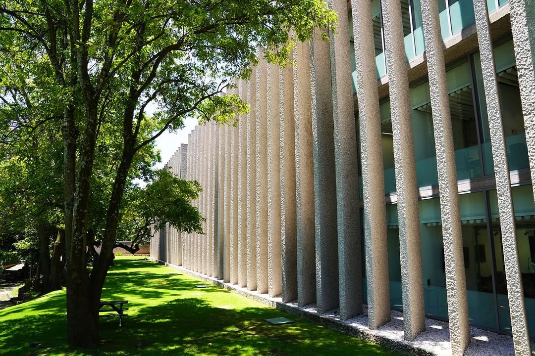 Post 8 by El Colegio de México on Instagram (image)