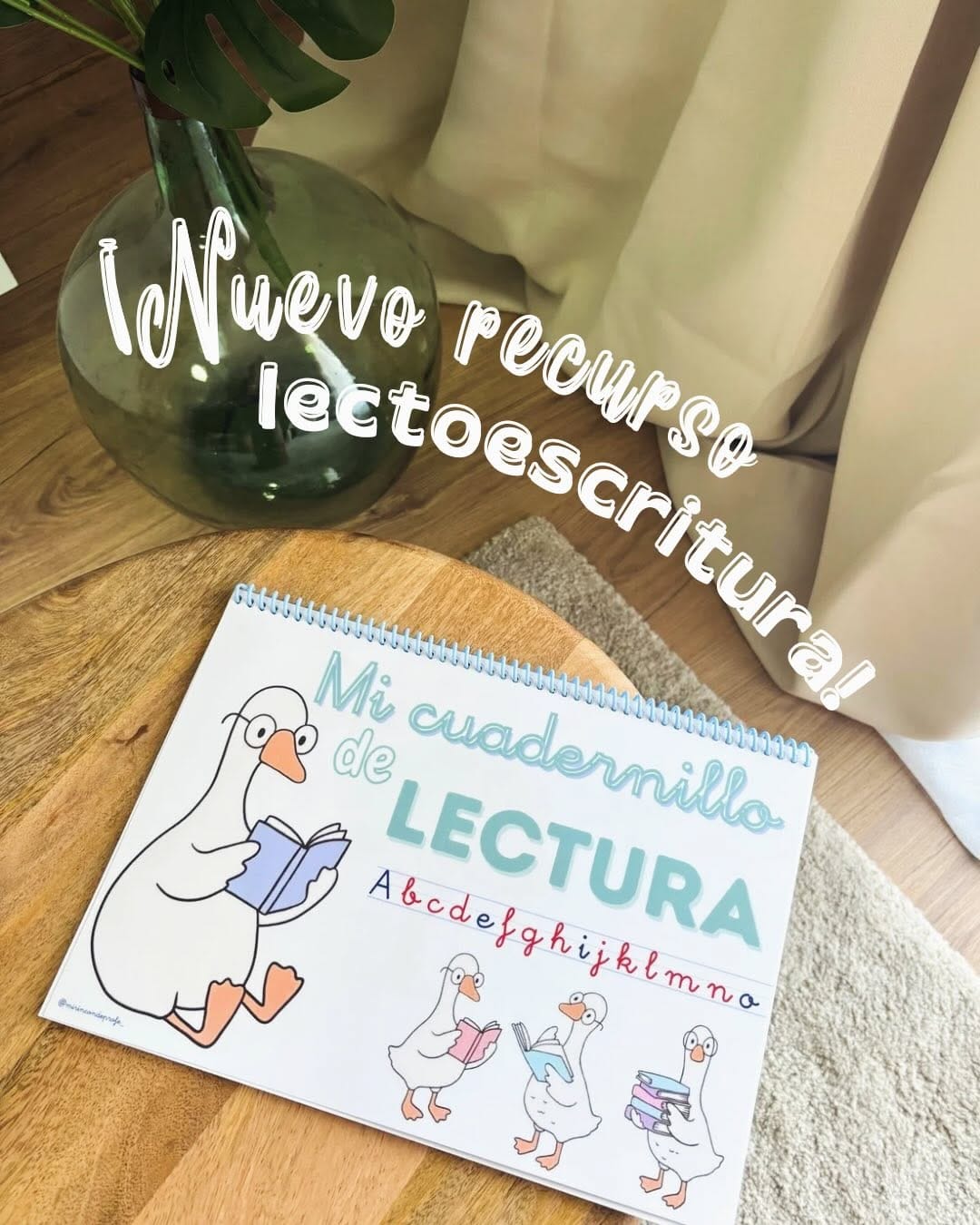 Post 3 by Seño Rocío🌈 on Instagram (carousel)