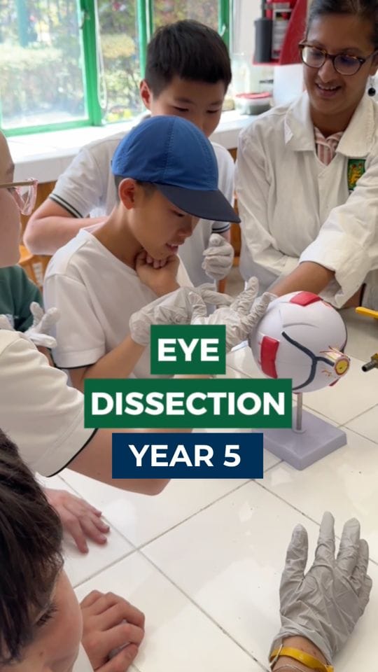 Post 8 by Greengates School Mexico on Instagram (video)