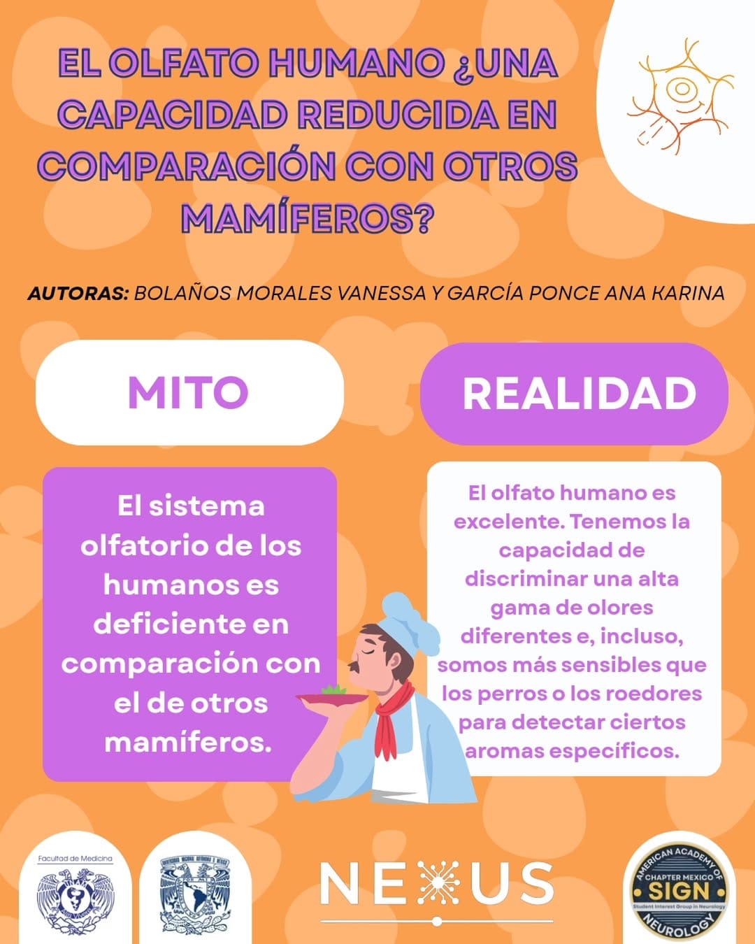 Post 4 by SIGN Chapter México 🇲🇽🧠 on Instagram (carousel)