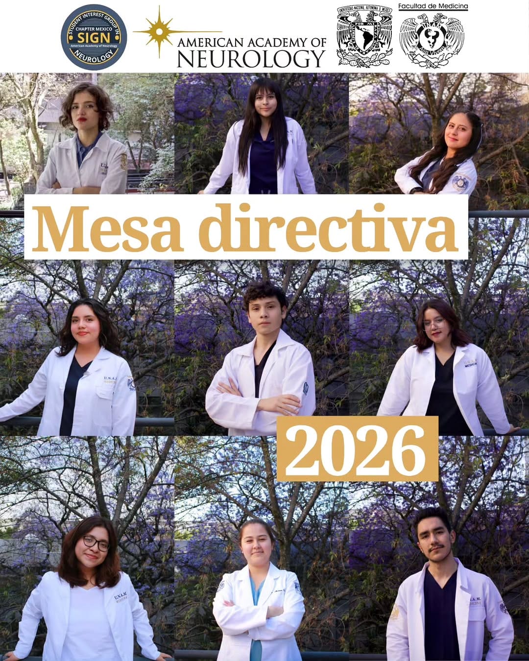 Post 8 by SIGN Chapter México 🇲🇽🧠 on Instagram (carousel)