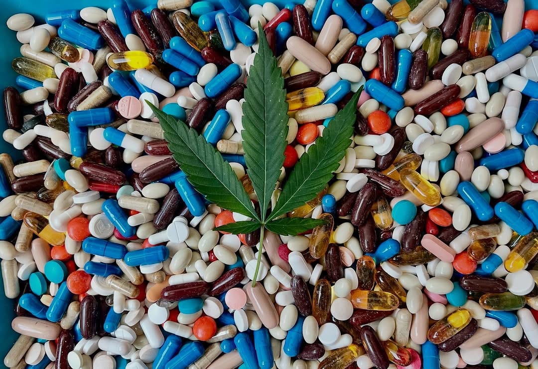 Post 8 by Guacamole Hemp on Instagram (image)