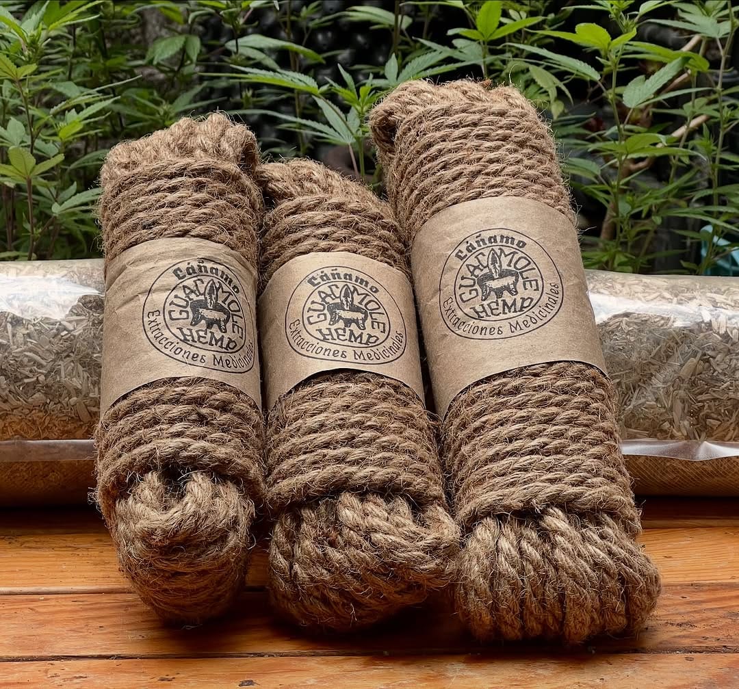 Post 10 by Guacamole Hemp on Instagram (image)