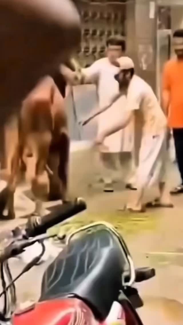 Post 7 by LOJAS HONORATO on Instagram (video)