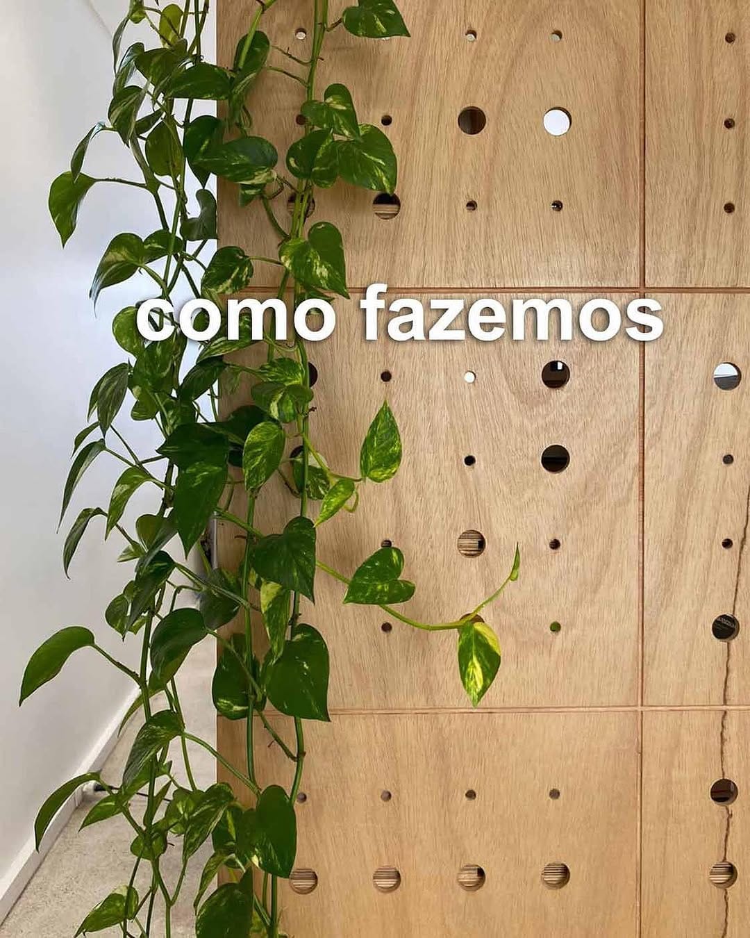 Post 10 by Lucia Manzano | arquitetura + paisagismo on Instagram (carousel)