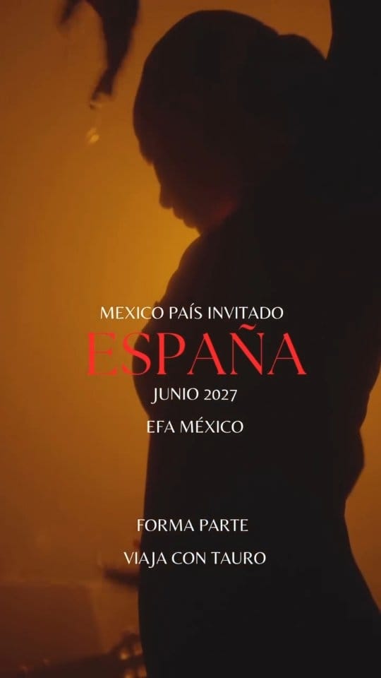 Post 10 by Tauro Flamenco on Instagram (video)