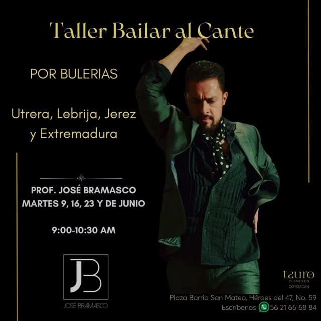 Post 2 by Tauro Flamenco on Instagram (video)
