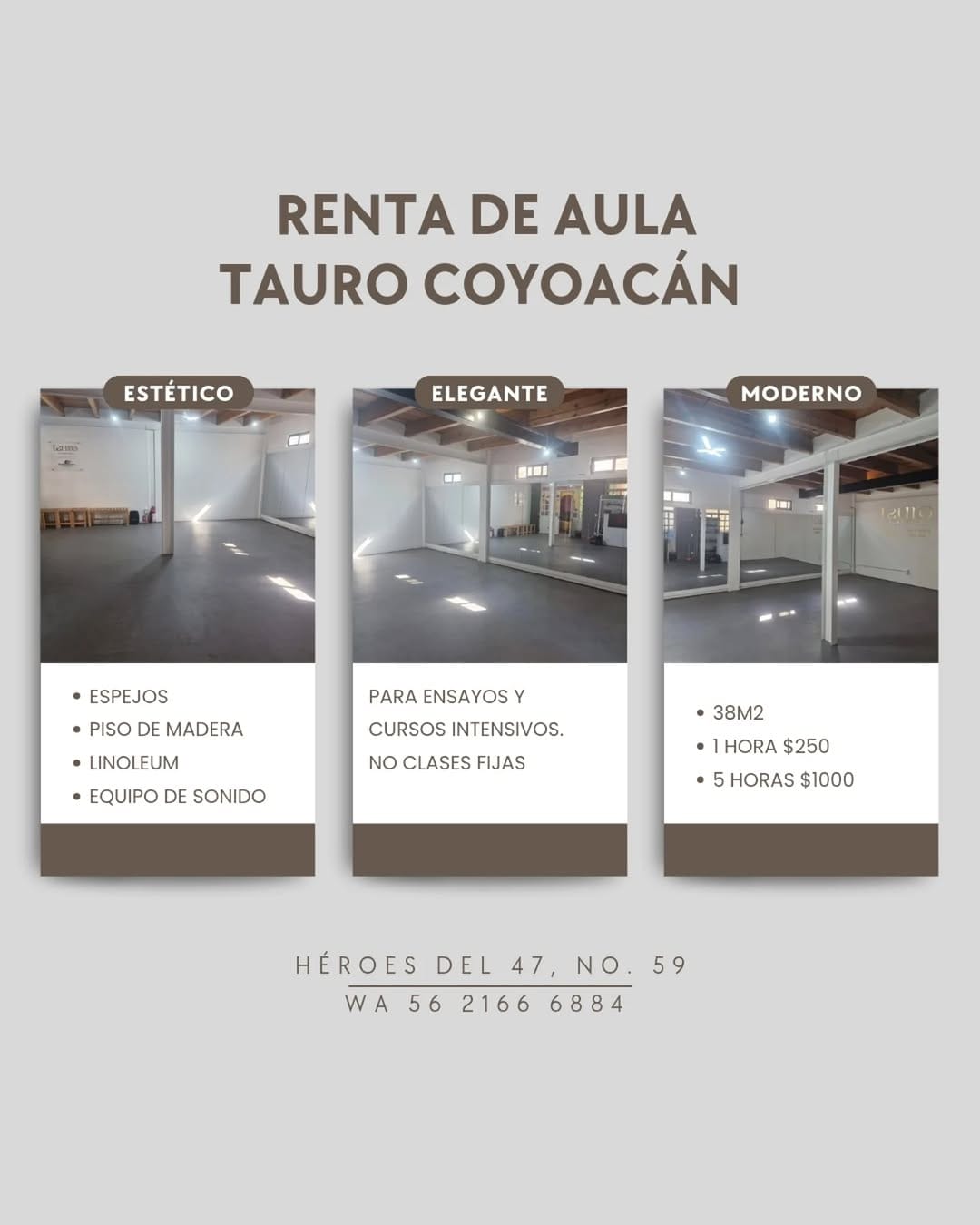 Post 9 by Tauro Flamenco on Instagram (image)