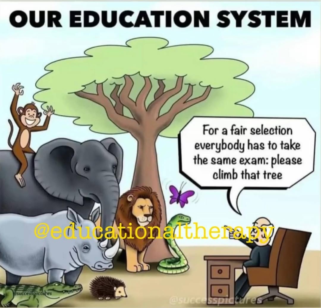 Post 4 by Educational Therapist on Instagram (image)