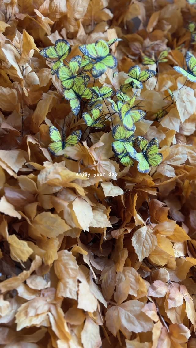 Post 7 by LC Decorações 🌿 on Instagram (video)
