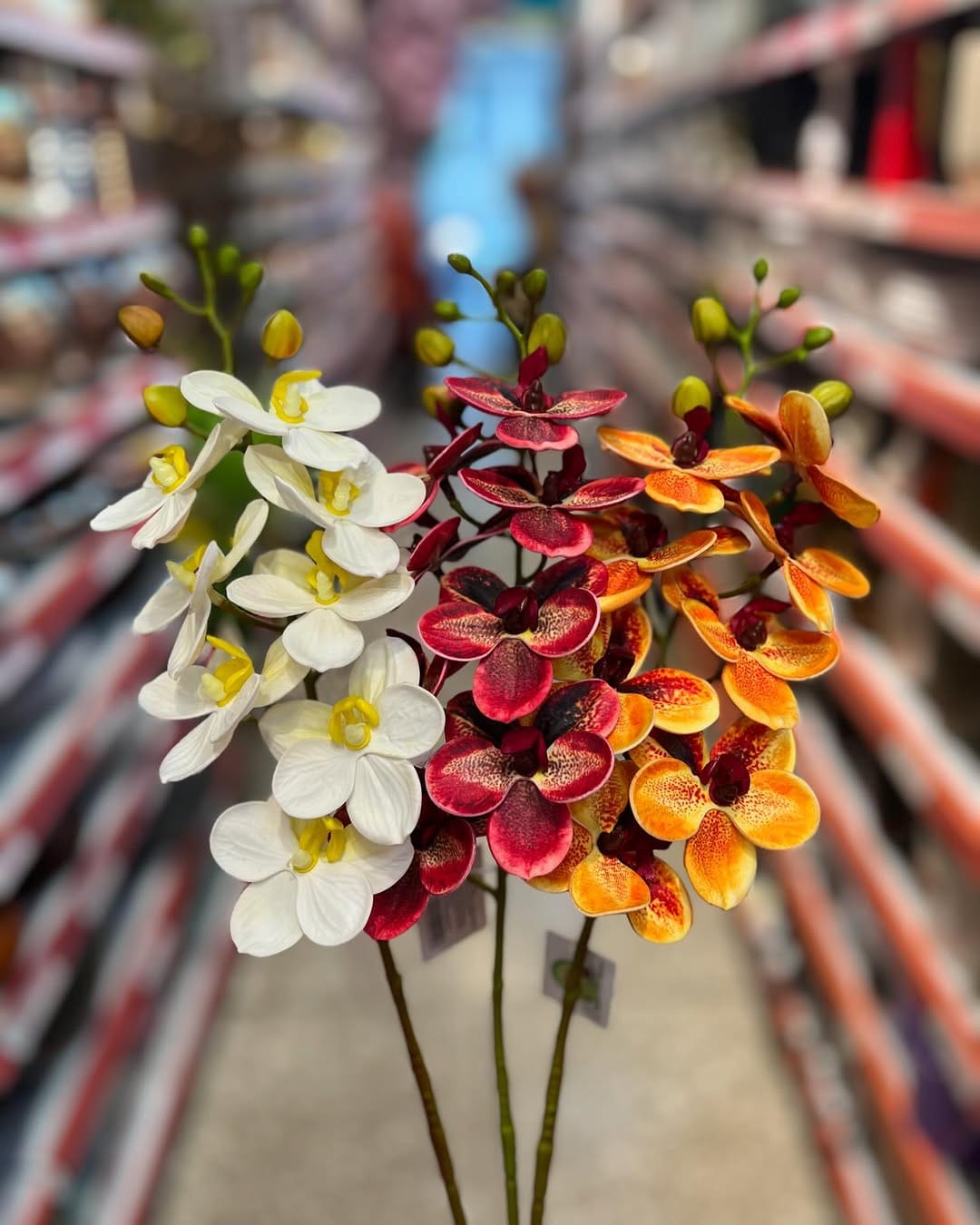 Post 8 by LC Decorações 🌿 on Instagram (carousel)