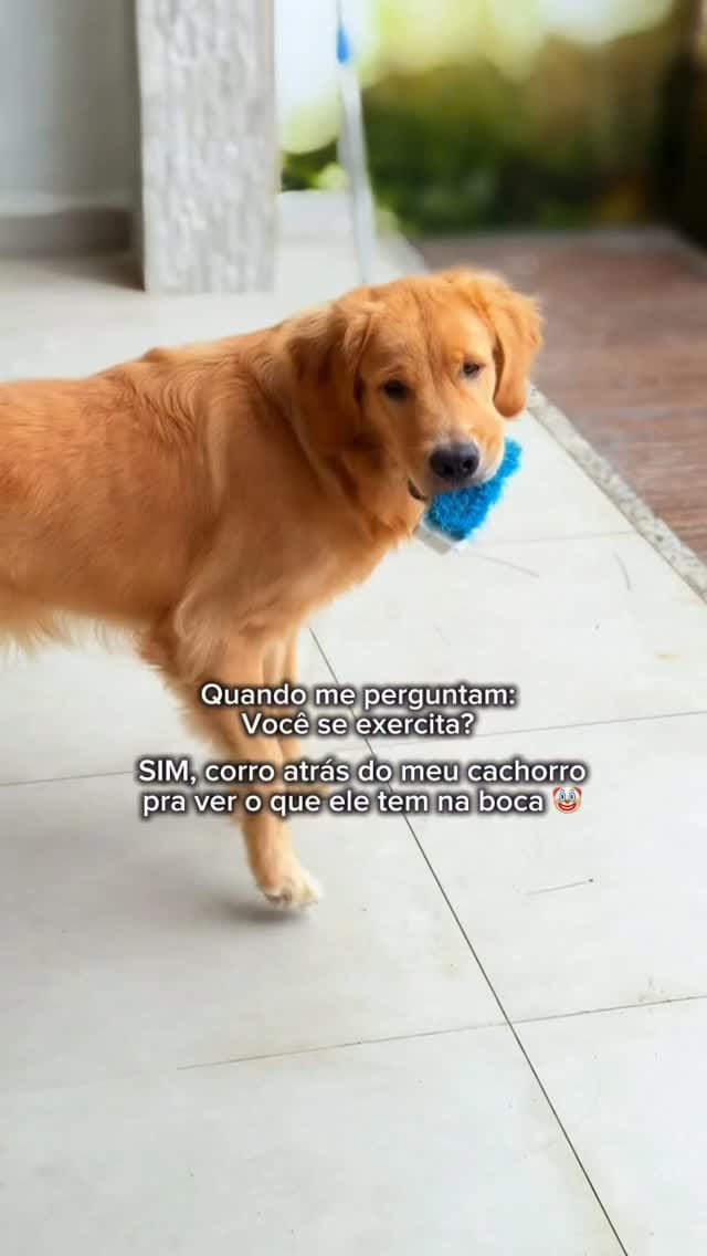 Post 4 by Nercilia Silva | Decoração on Instagram (video)