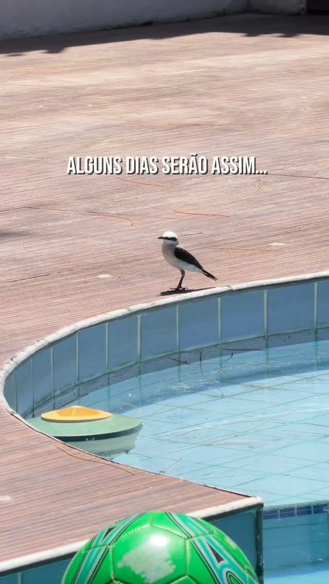 Post 3 by Nercilia Silva | Decoração on Instagram (video)