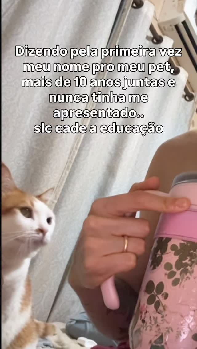 Post 3 by Thamyres Oliveira on Instagram (video)