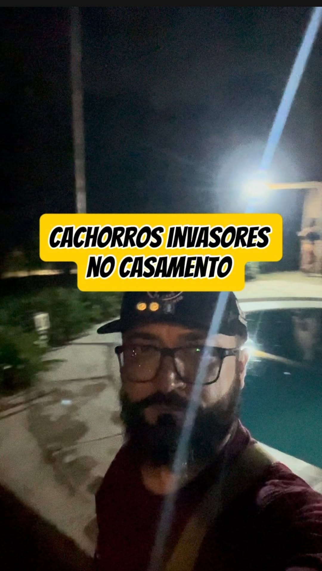 Post 5 by O Educador de Cães - Adestramento on Instagram (video)