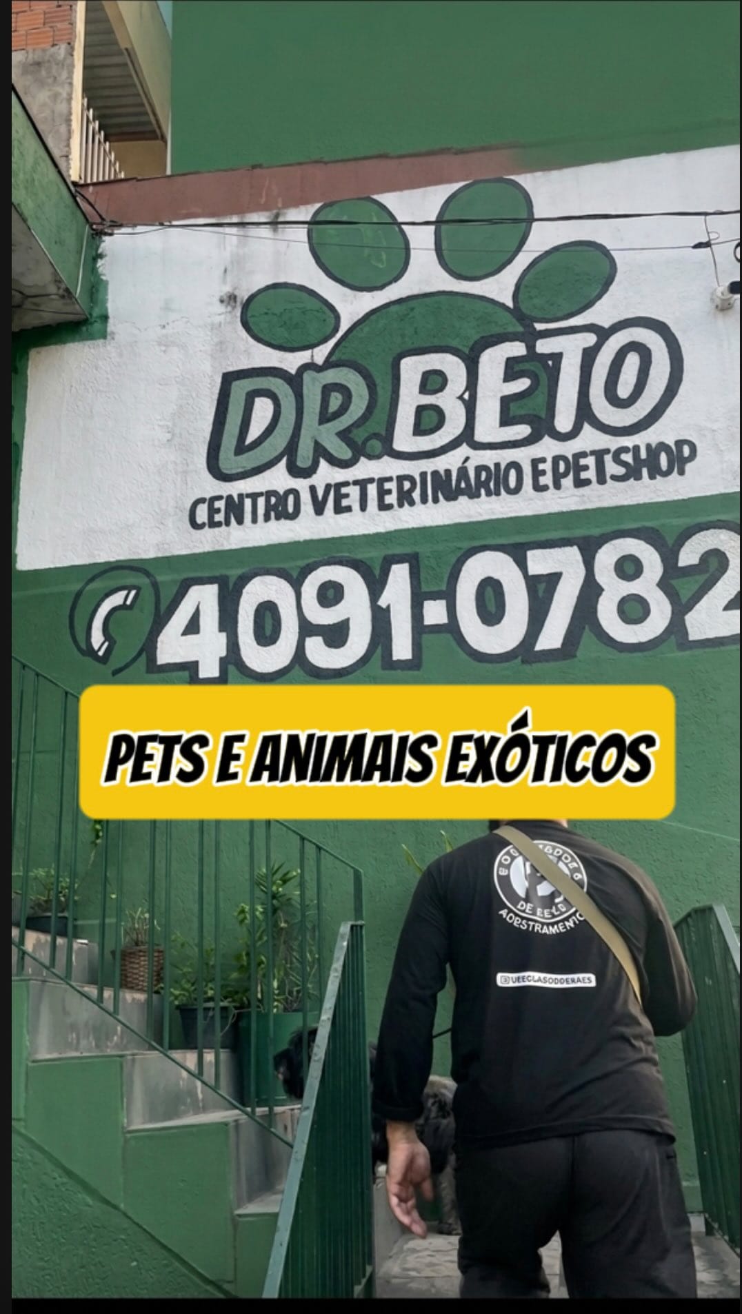 Post 8 by O Educador de Cães - Adestramento on Instagram (video)