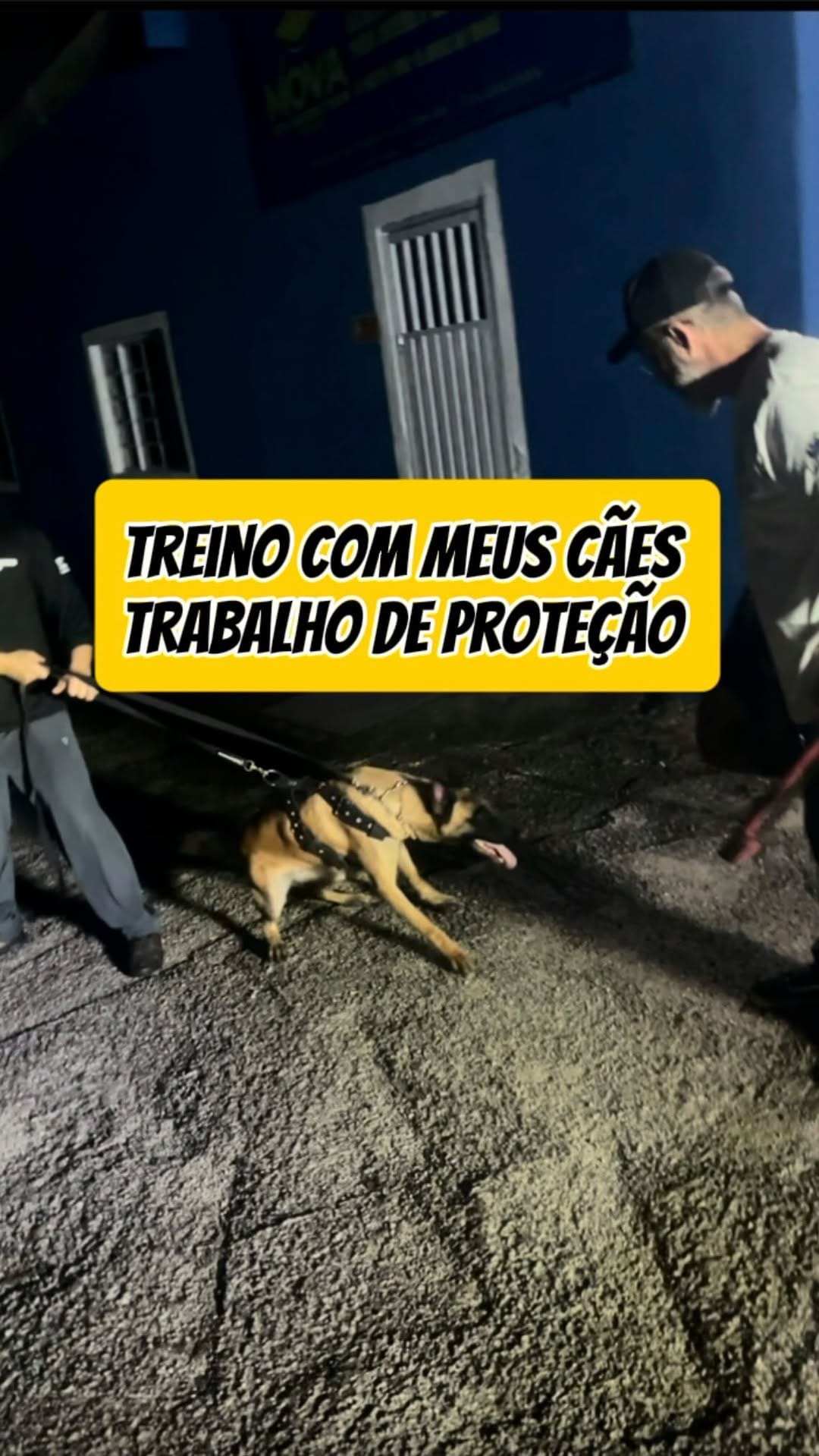 Post 7 by O Educador de Cães - Adestramento on Instagram (video)