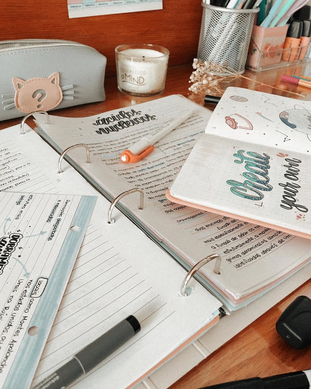 Post 4 by ʚ amanda | studygram ɞ on Instagram (image)