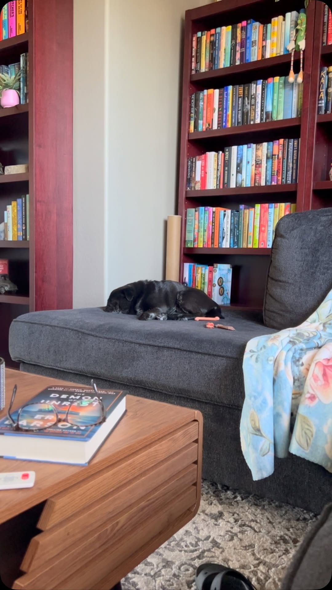 Post 7 by GrubbyPug on Instagram (video)