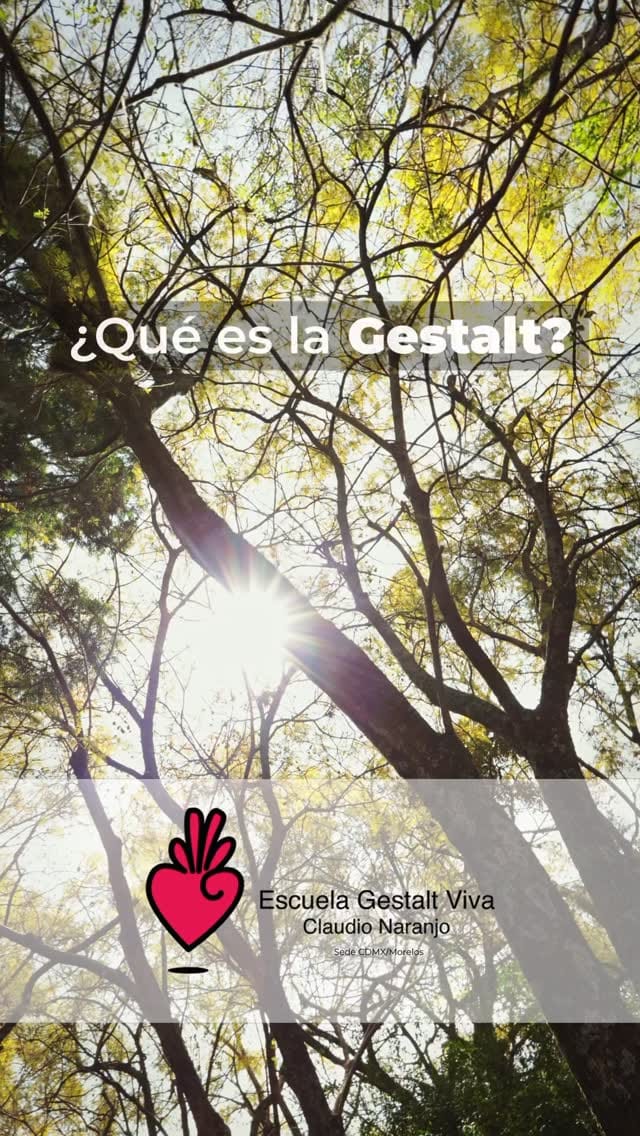 Post 7 by Gestalt Viva Claudio Naranjo on Instagram (video)