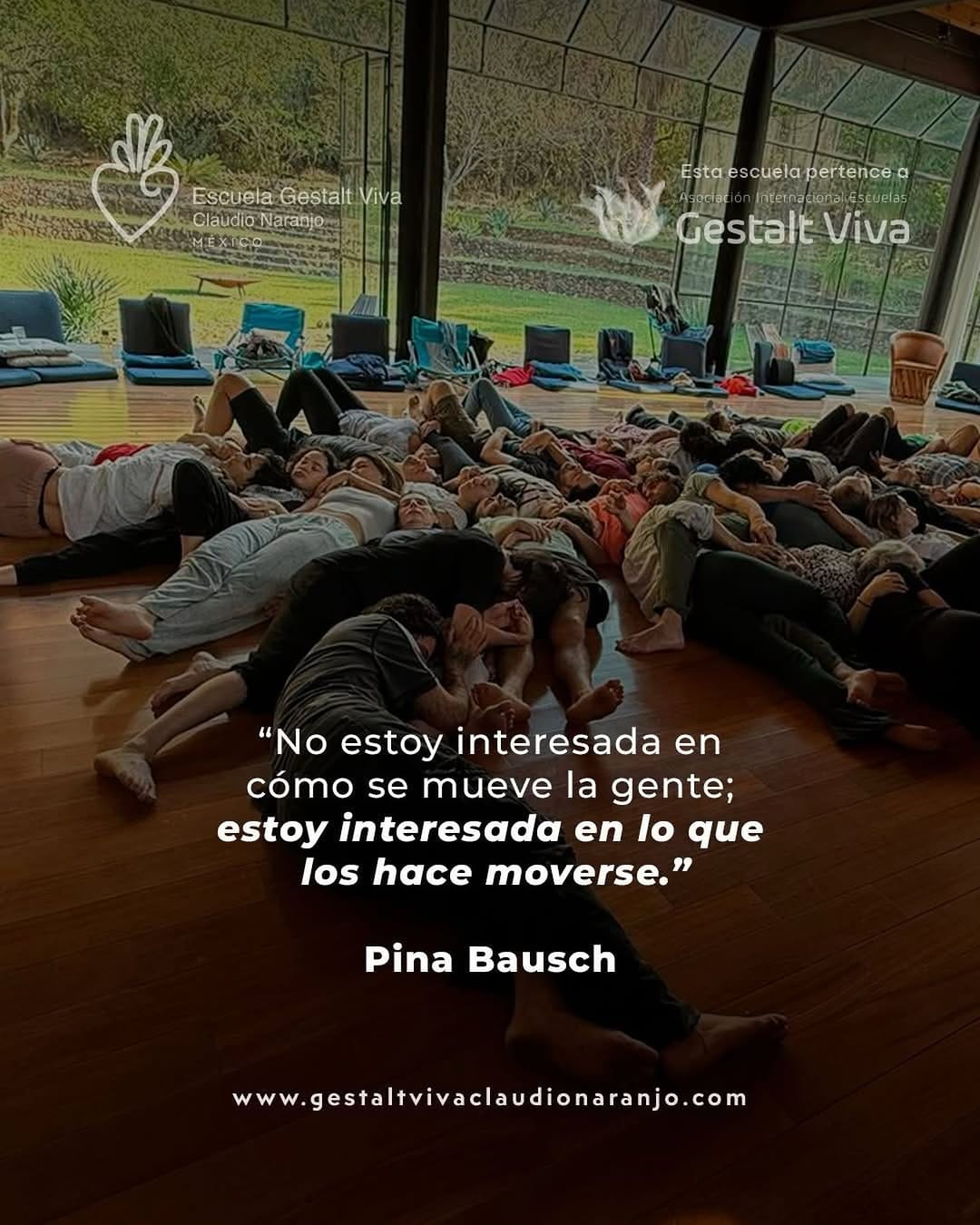 Post 5 by Gestalt Viva Claudio Naranjo on Instagram (image)