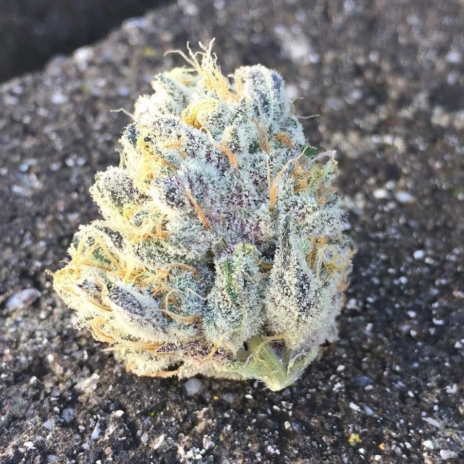Post 8 by Cannabis Sommelier on Instagram (image)