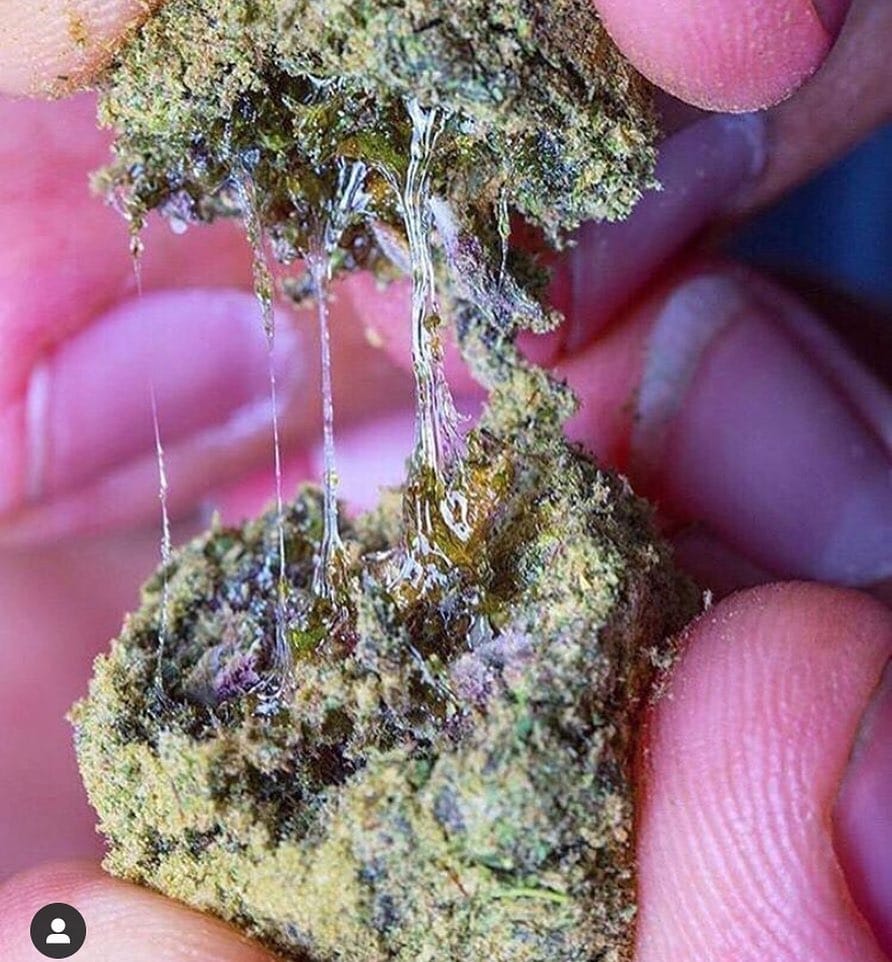 Post 10 by Cannabis Sommelier on Instagram (image)