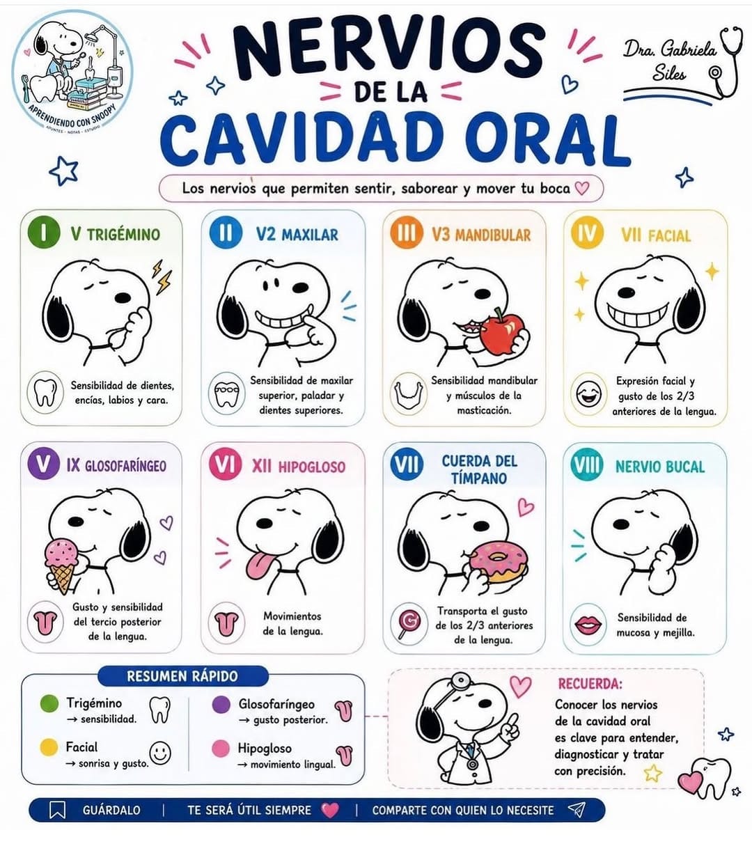Post 7 by Arte y Ciencia Odontológica on Instagram (image)