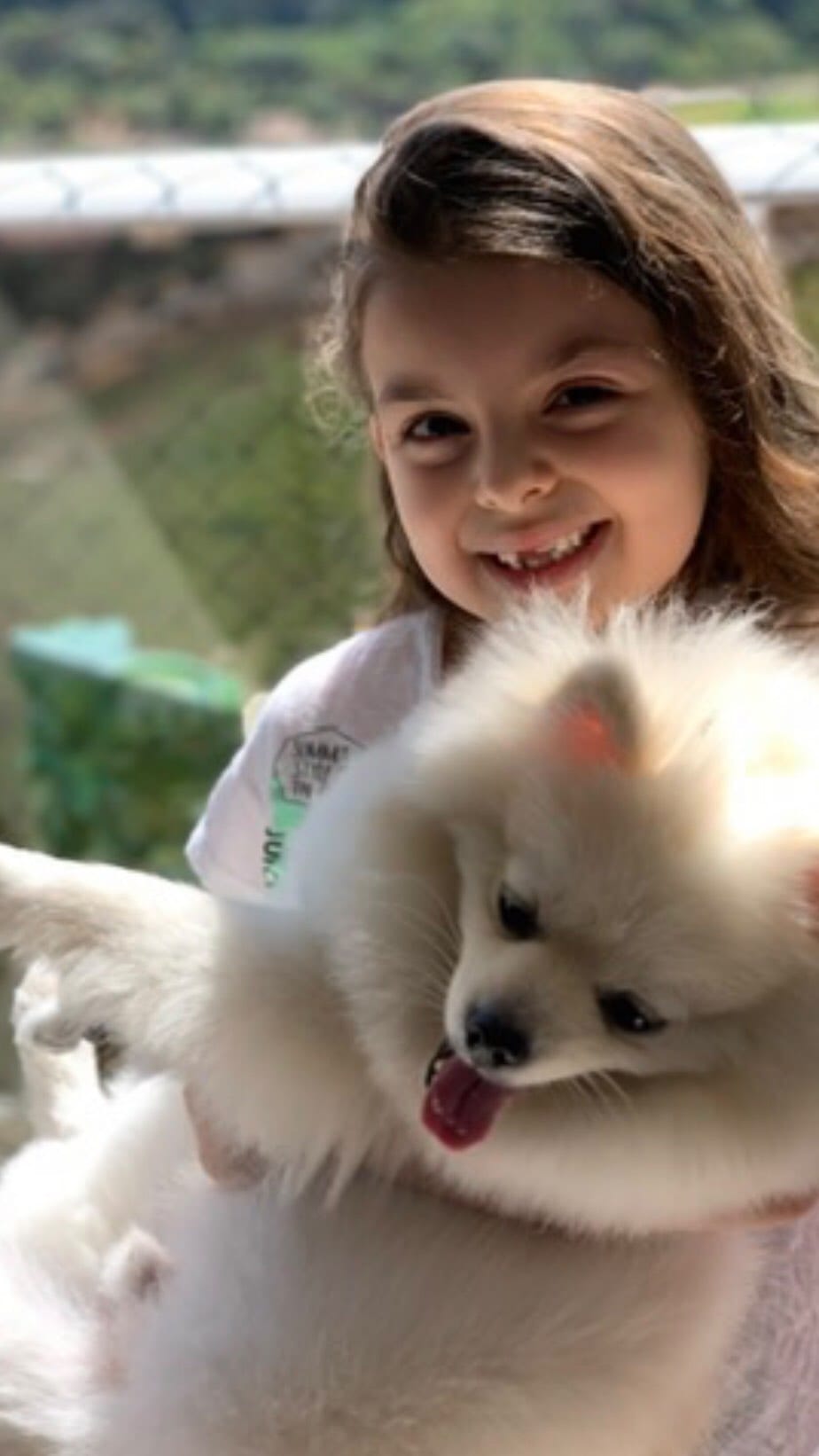Post 7 by Sarah Ucello on Instagram (video)