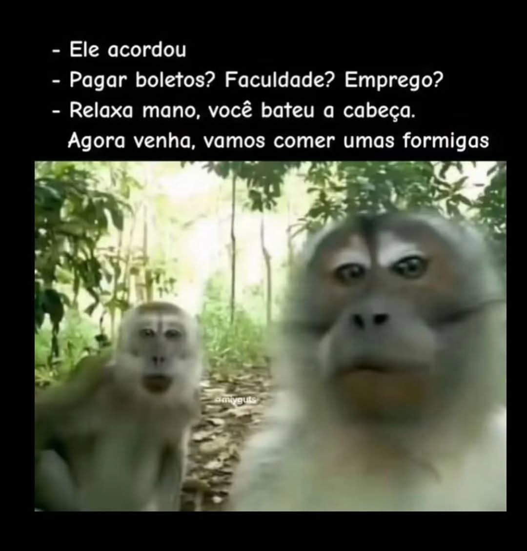 Post 1 by Neto Costa - O Paradoxo Mental on Instagram (image)
