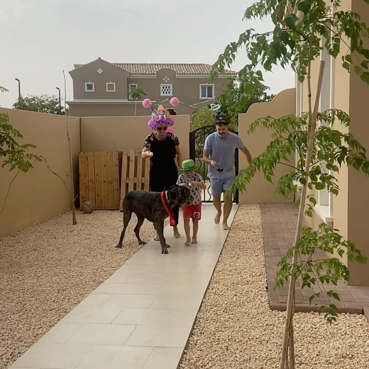 Post 9 by Marmaduke on Instagram (video)