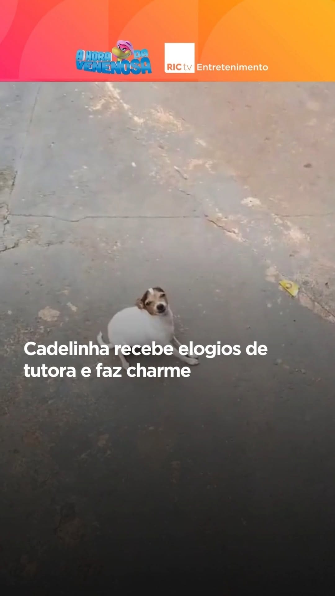 Post 10 by RICtv Entretenimento on Instagram (video)