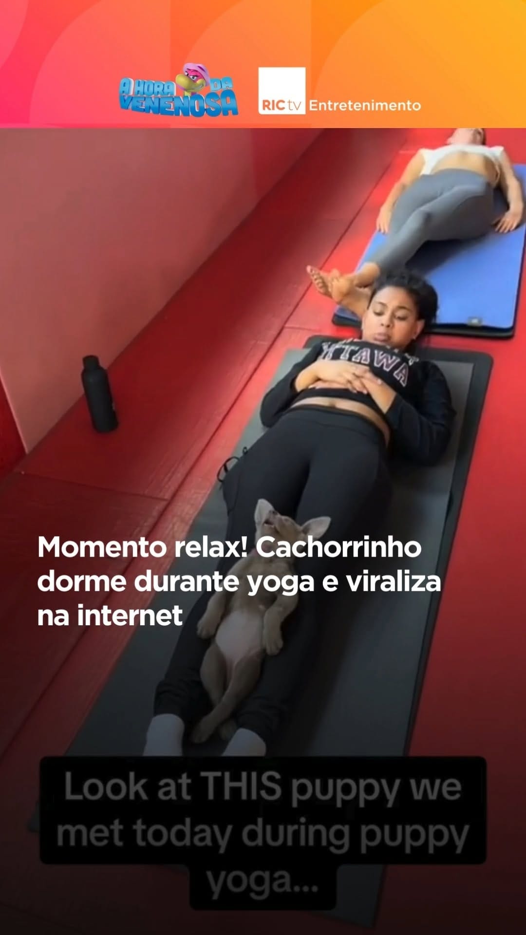 Post 8 by RICtv Entretenimento on Instagram (video)