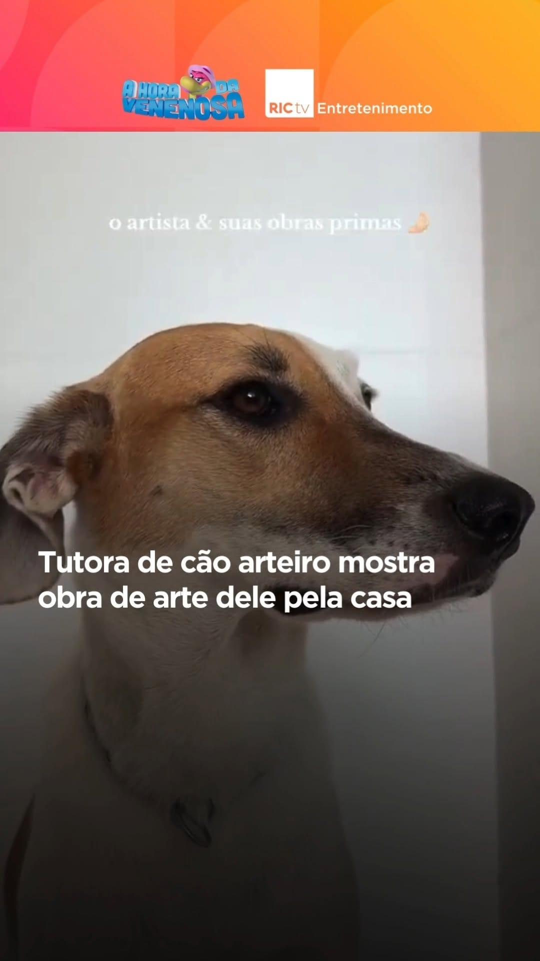 Post 3 by RICtv Entretenimento on Instagram (video)
