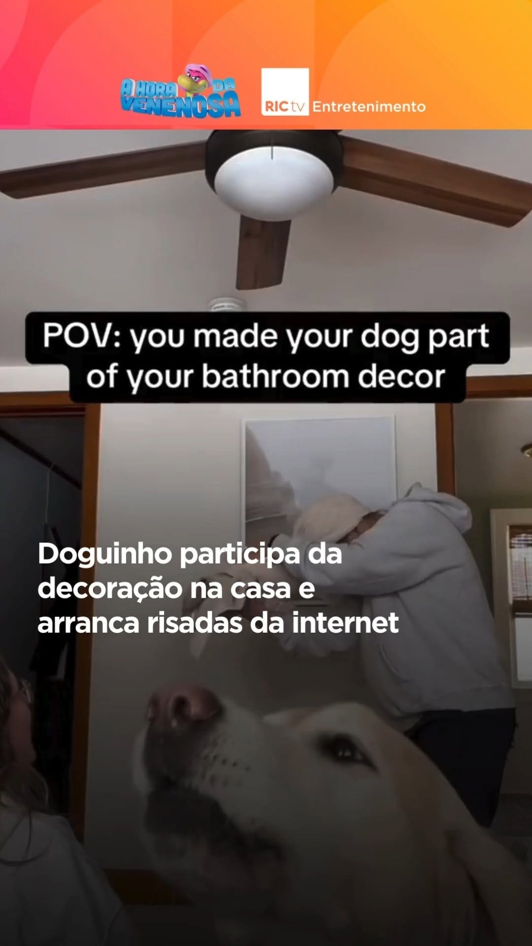 Post 7 by RICtv Entretenimento on Instagram (video)