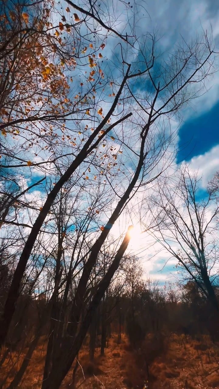 Post 4 by 🧛🏿Fraze Avenue🦇 on Instagram (video)
