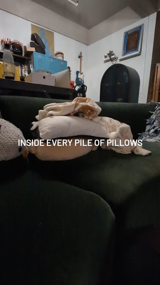 Post 4 by Mr. Scribbles on Instagram (video)