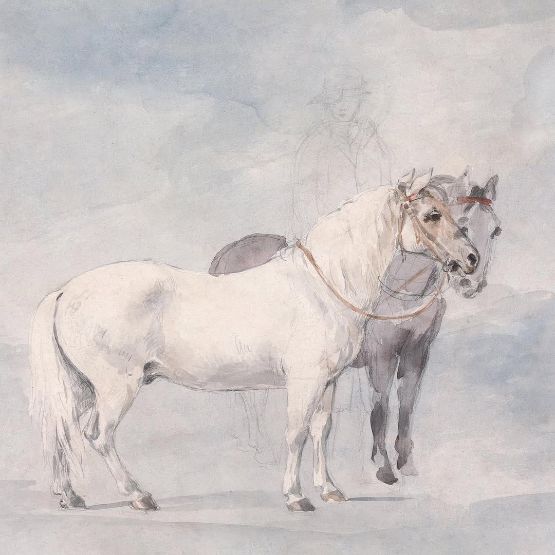 Post 4 by Not Waving on Instagram (carousel)