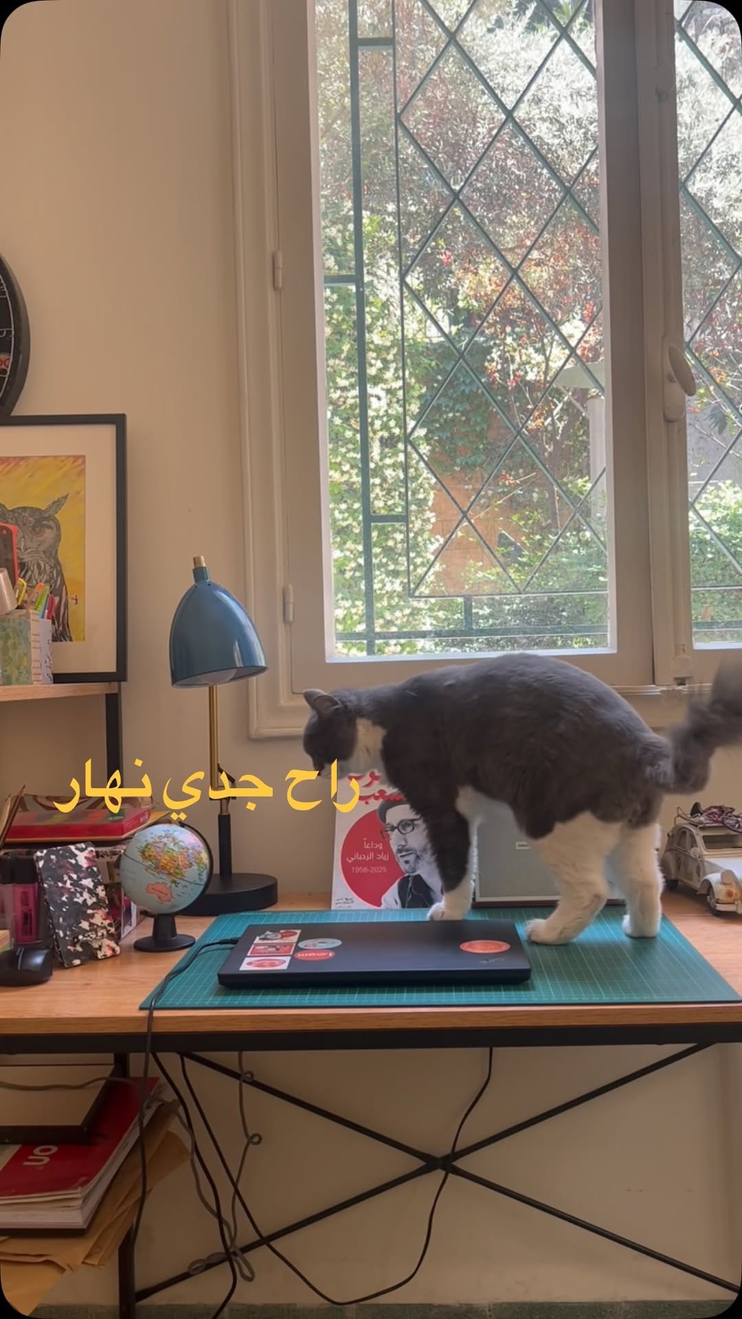 Post 1 by Charbel Khoury on Instagram (video)