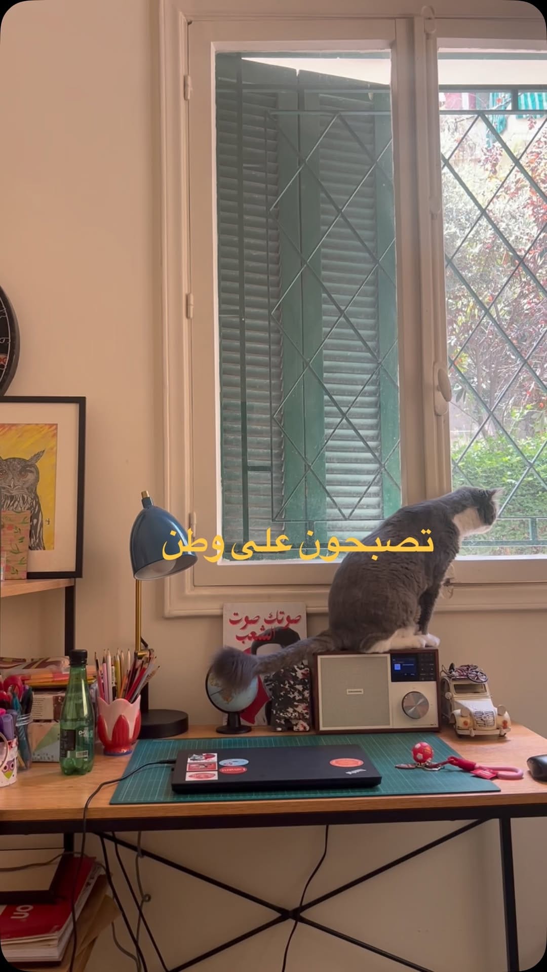 Post 4 by Charbel Khoury on Instagram (video)